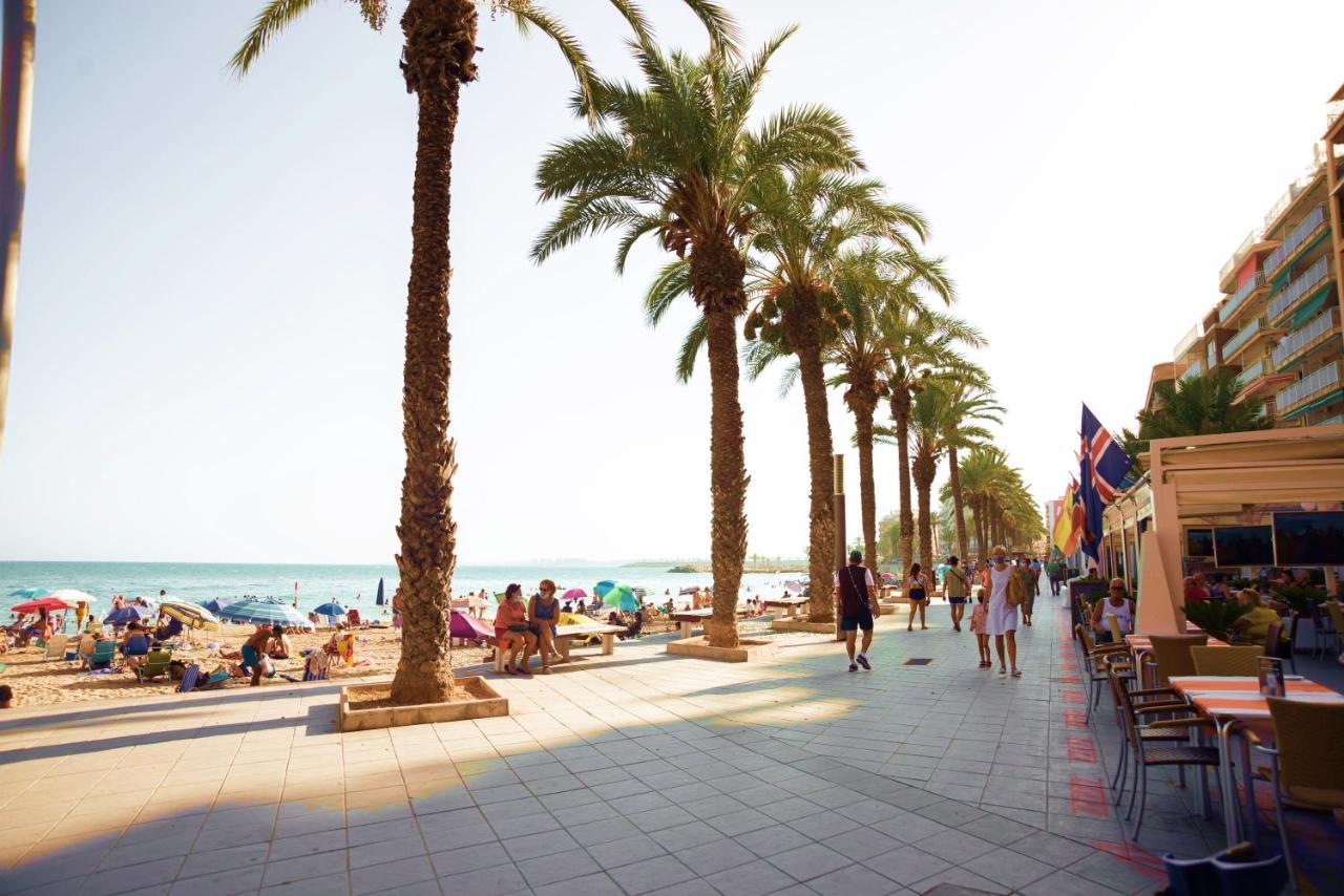Holiday Studio Jardin Playa Torrevieja Bagian luar foto